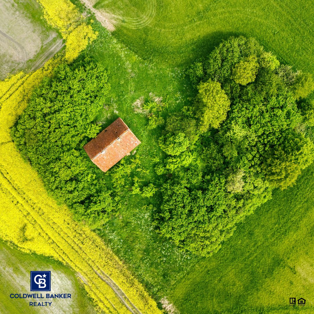 Aerial view of an eco-friendly rural property surrounded by lush green trees and fields, highlighting natural land preservation and sustainable living.
